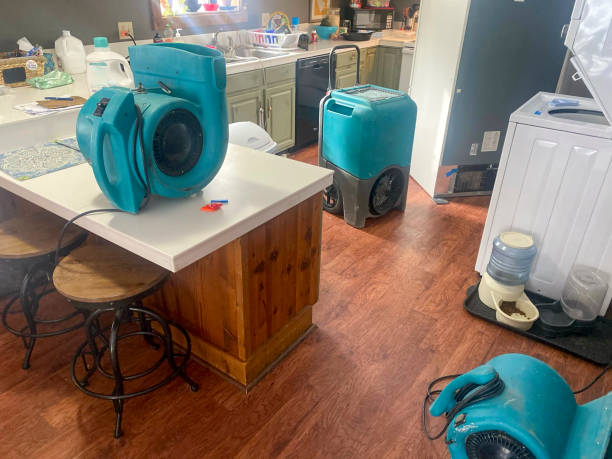 Best Water damage restoration near me  in Mercersburg, PA