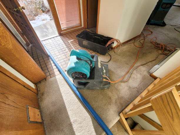 Best Mold removal after water damage  in Mercersburg, PA