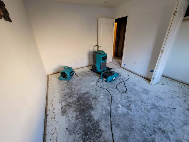 Best Fire Damage Restoration  in Mercersburg, PA