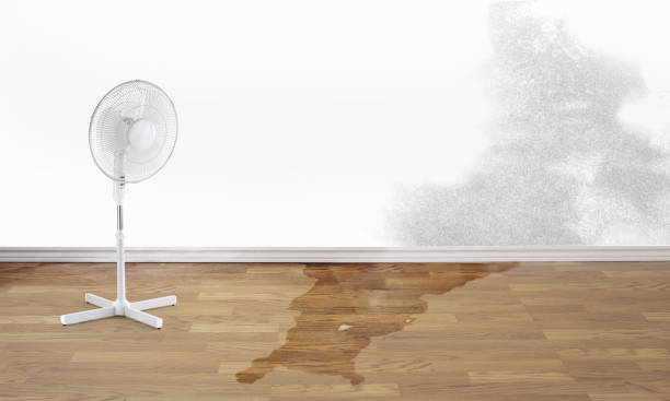 Best Water damage cleanup near me  in Mercersburg, PA