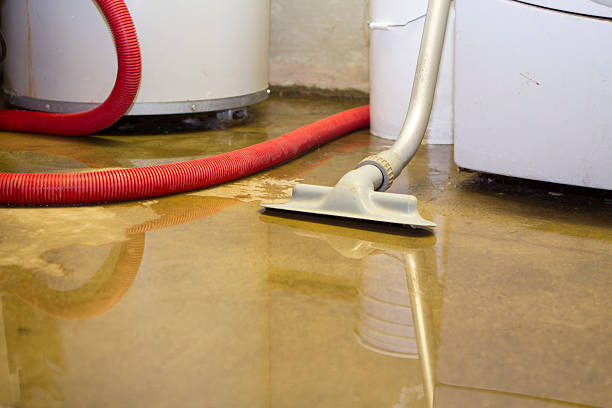  Mercersburg, PA Water damage restoration Pros