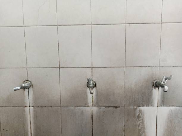 Best Flood damage cleanup  in Mercersburg, PA