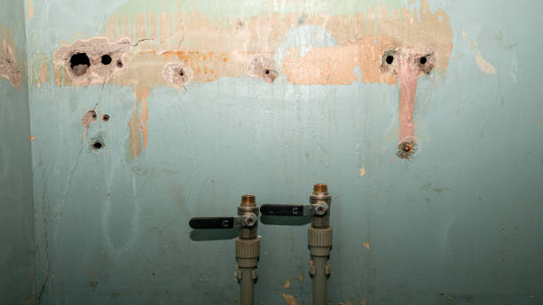 Best Local water damage restoration  in Mercersburg, PA