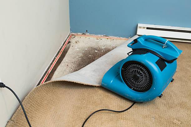 Best Basement water damage restoration  in Mercersburg, PA